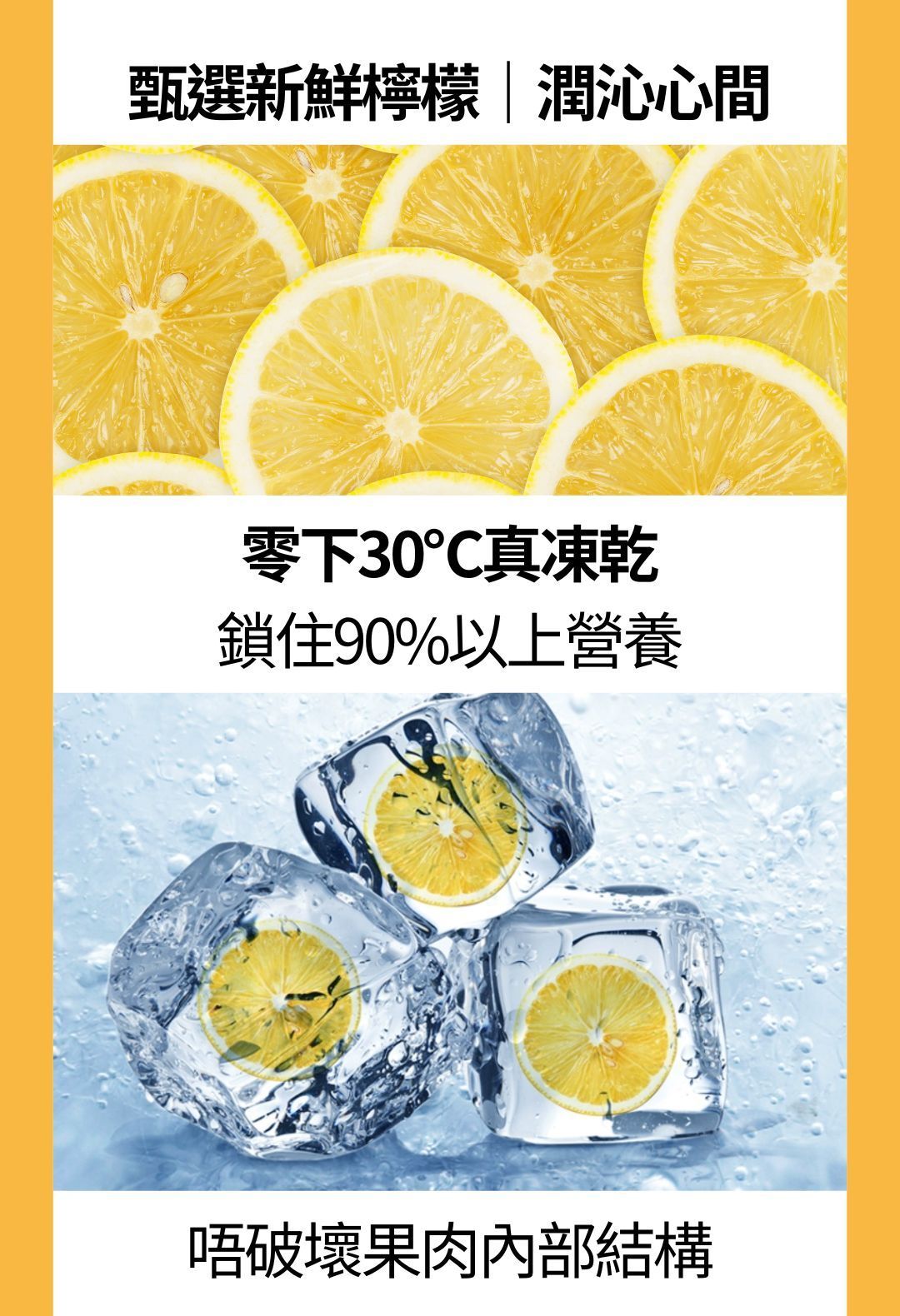 Tastaz 凍乾檸檬片 (檸檬乾) Freeze Dried Lemon Chips 20g